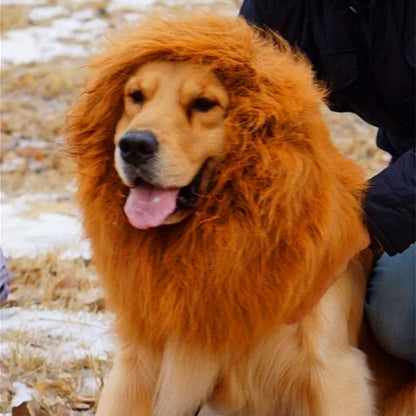 Lion Hair Costume for Dogs