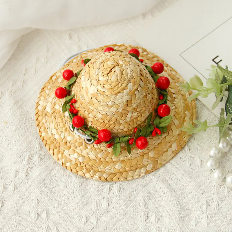 Summer Pet Hat