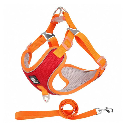 Breathable Mesh Harness for Small and Medium Dogs