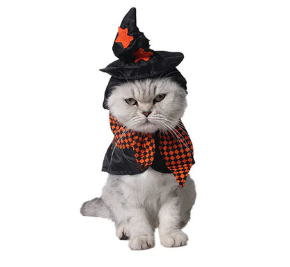 Magic Witch Costume for Pets