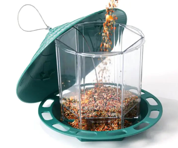 Automatic bird feeder ideal for outdoors