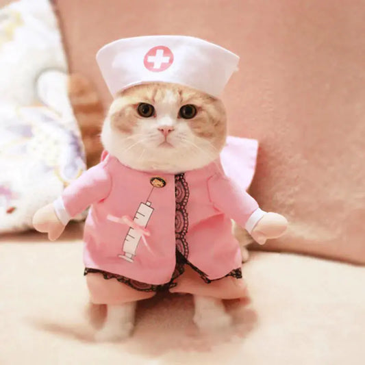 Pet Clothes, Funny Costumes
