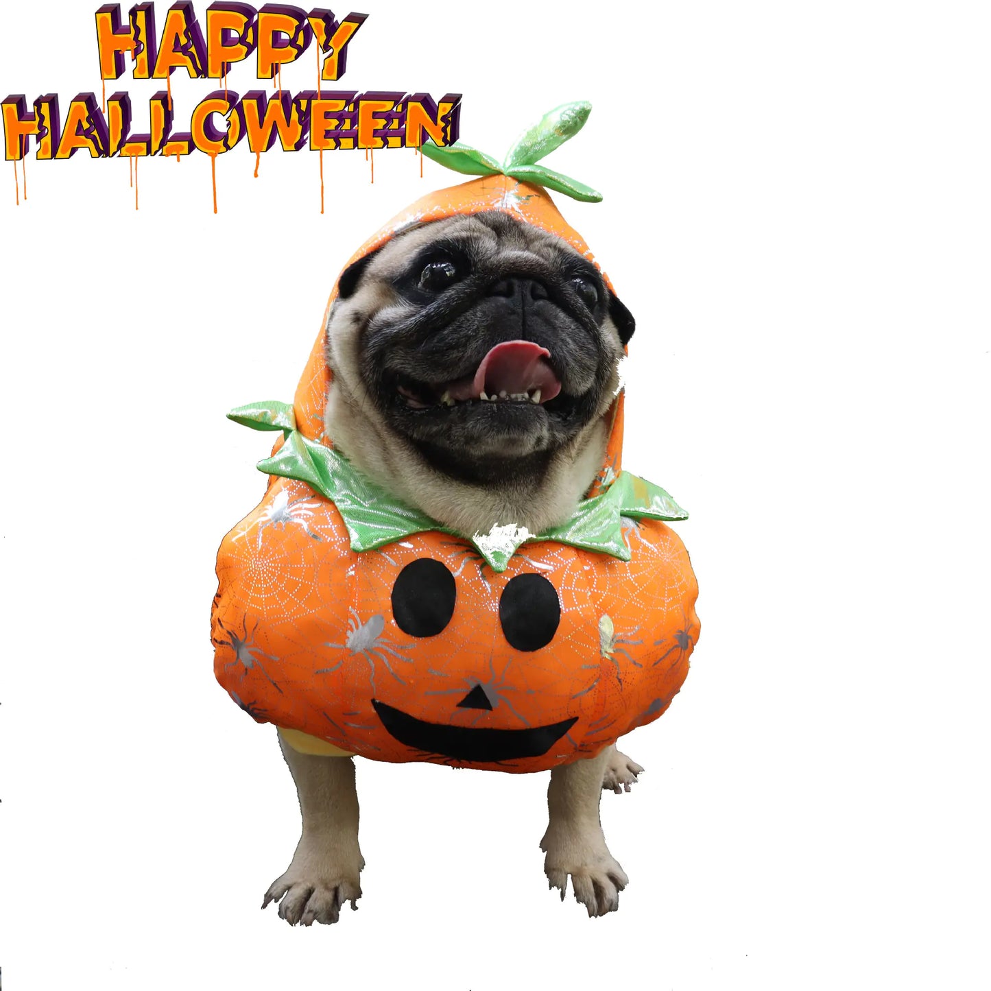 Pumpkin Costume for Dogs and Cats