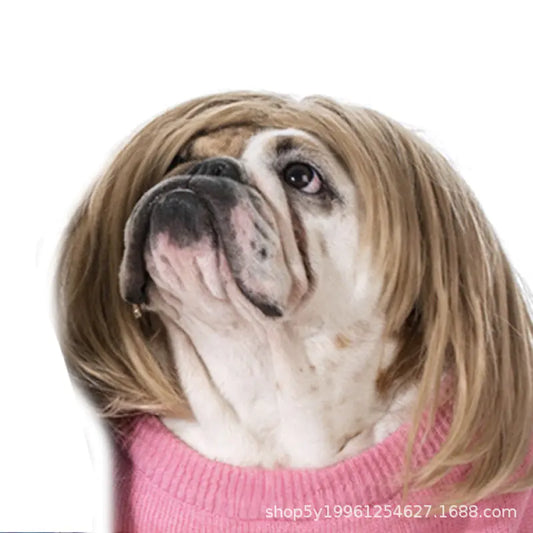 Halloween wigs for dogs and cats