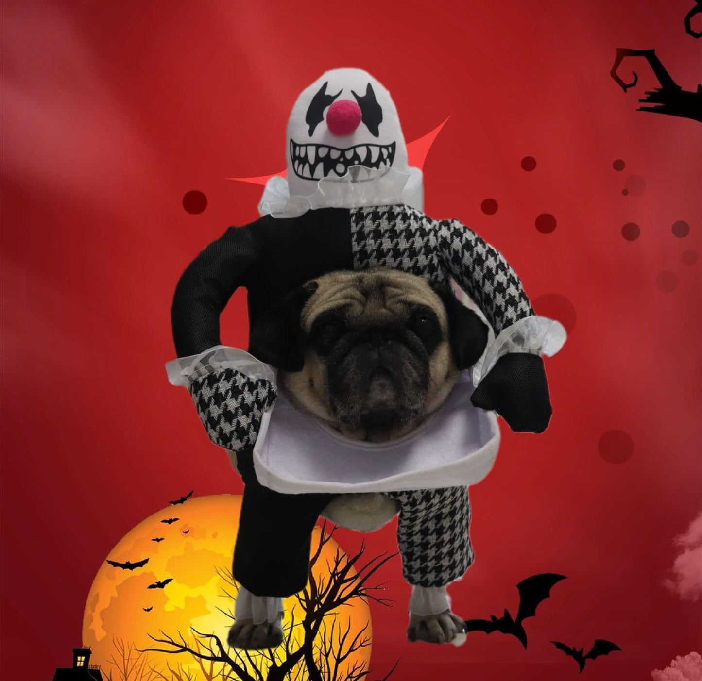 Fantastico costume di Halloween per animali domestici