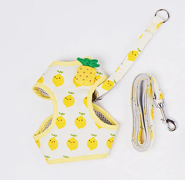 Fruit Print Cat Harness and Leash