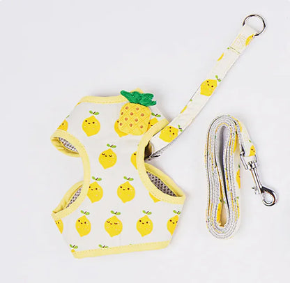 Fruit Print Cat Harness and Leash