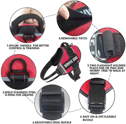 Adjustable harness for large dogs
