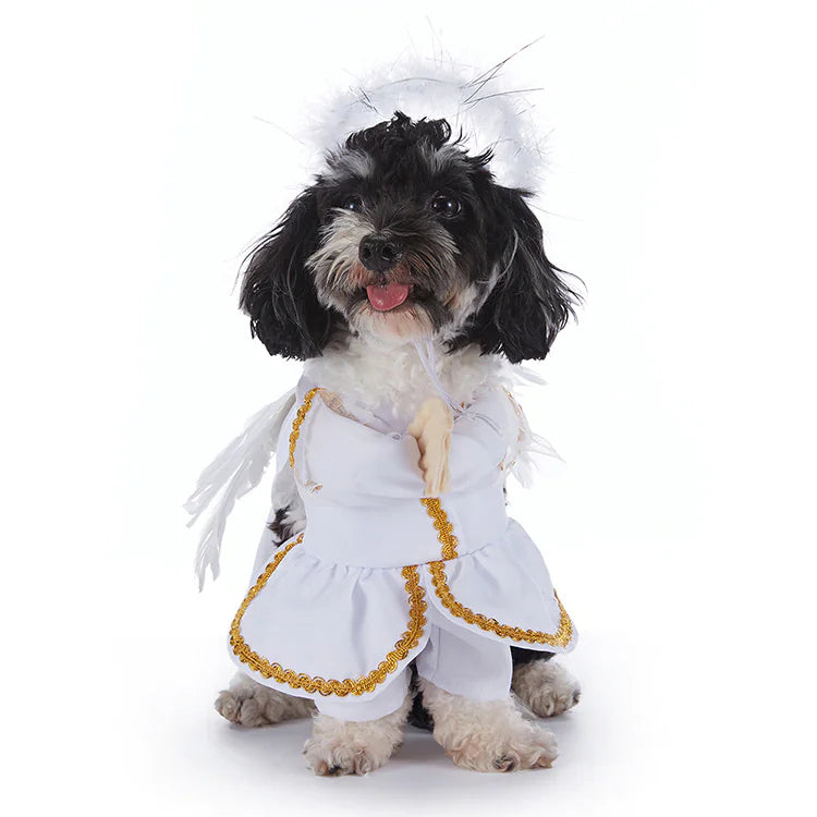 Halloween Costumes for Dogs