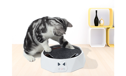 Motion toy for cats