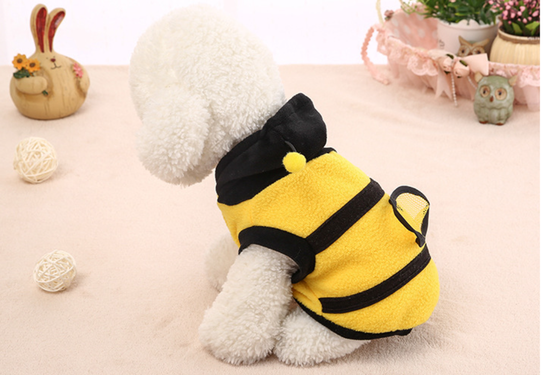 Bee Costume for Cats and Dogs