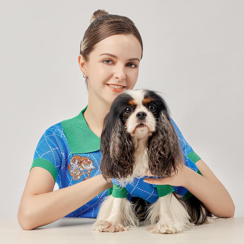 Blue Tiger Cardigan Pet Costume