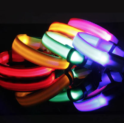 LED Safety Collar for Dogs