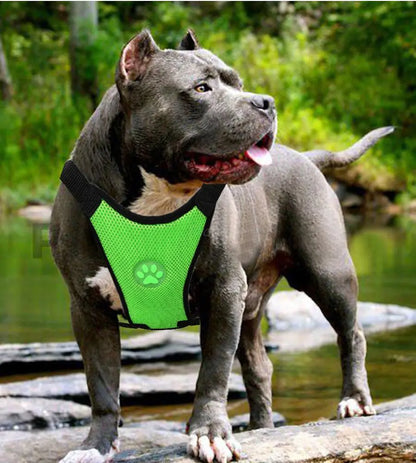 Arnés para Perros de Malla Transpirable