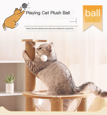 Double Cat Scratcher with Transparent Dome