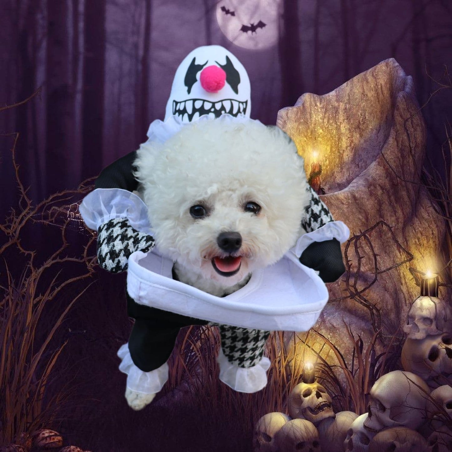Fantastico costume di Halloween per animali domestici