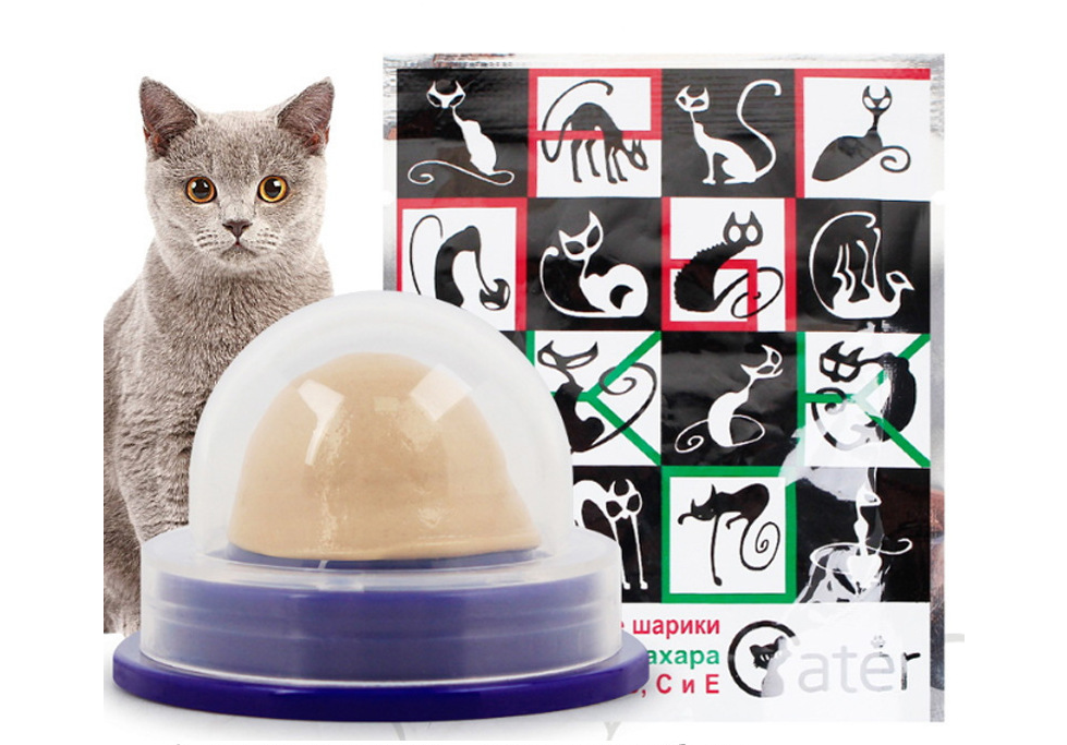 Treats and Snacks for Cats