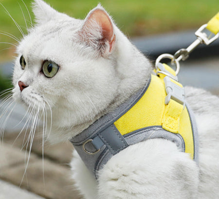 Arnés para Gato con Correa de Tracción