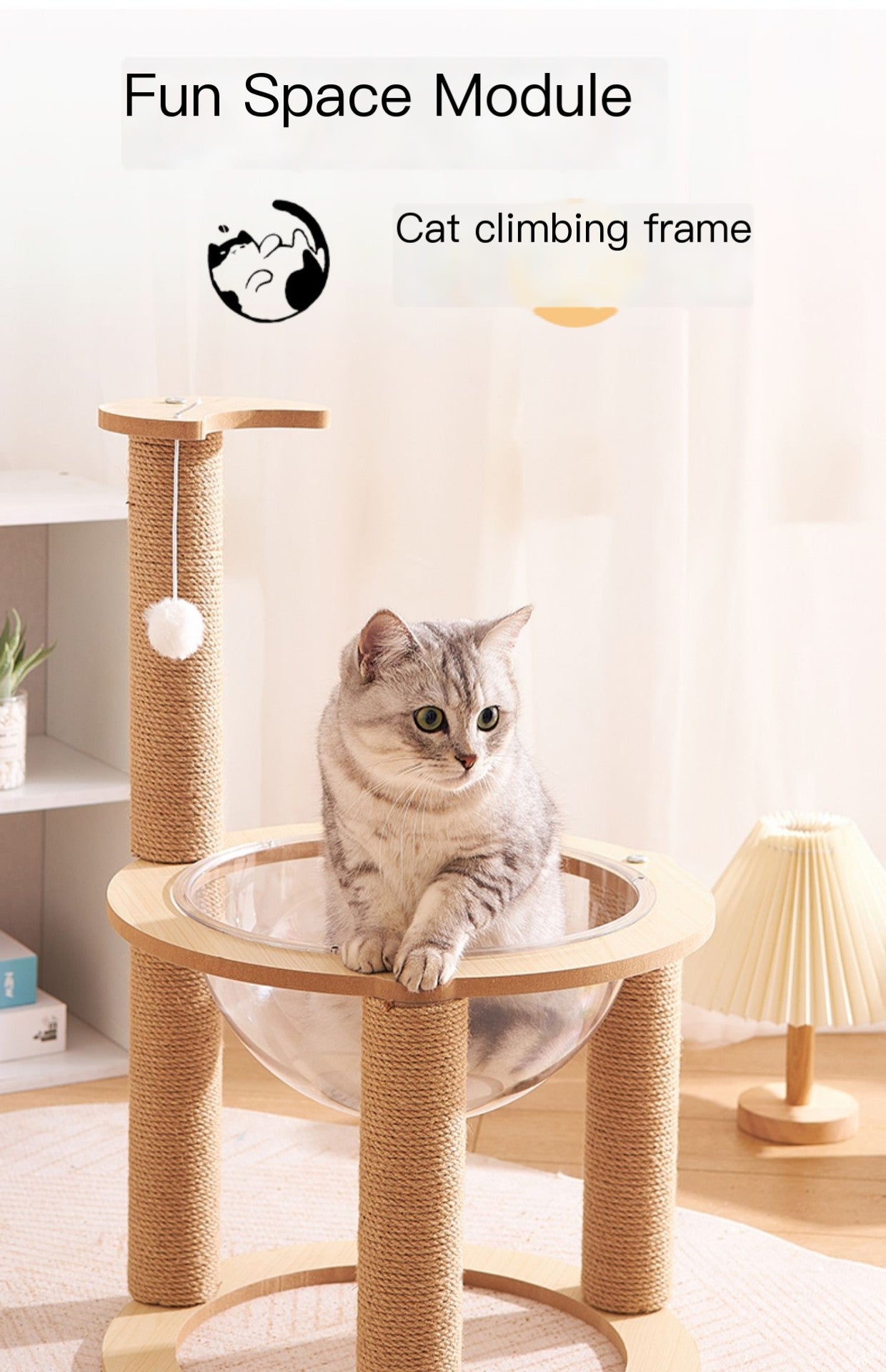 Double Cat Scratcher with Transparent Dome