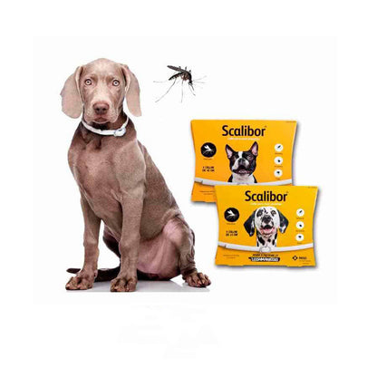 Flea and deworming collar for dogs and cats