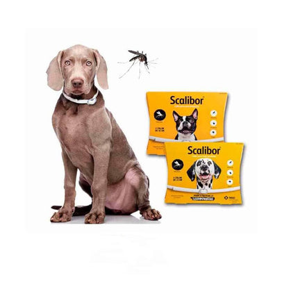Scalibor® Collare antipulci e zecche per cani
