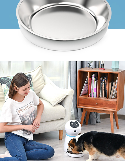 Automatic Programmable Pet Feeder with Timer