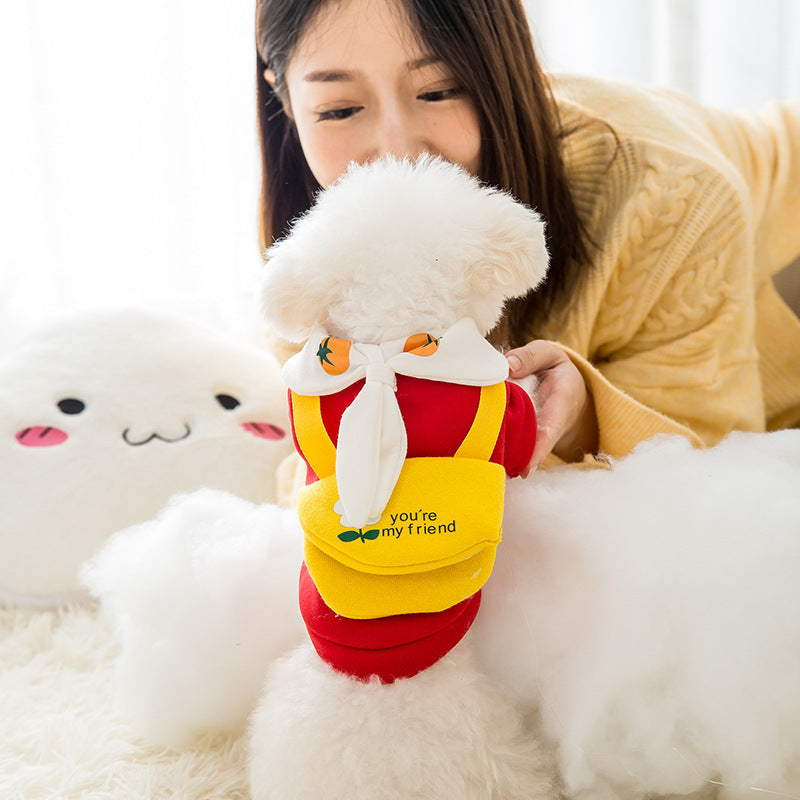 Pet clothes with cute prints