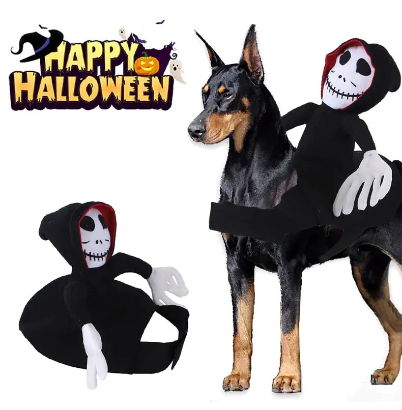Elf Costume for Riding