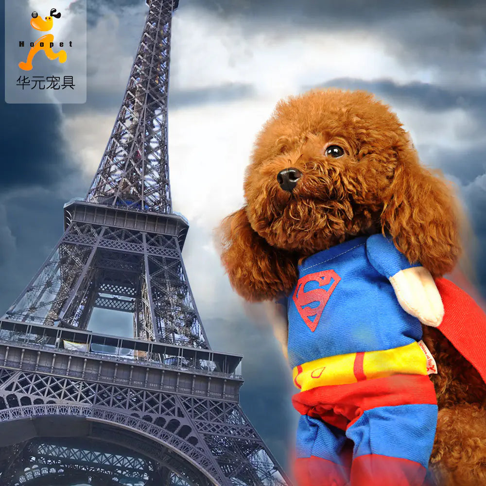 Blue and red cape costume for pets