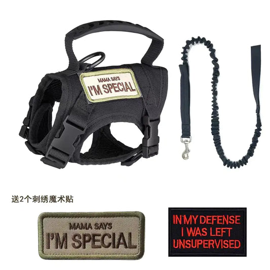 Adjustable Tactical Cat Vest with Leash