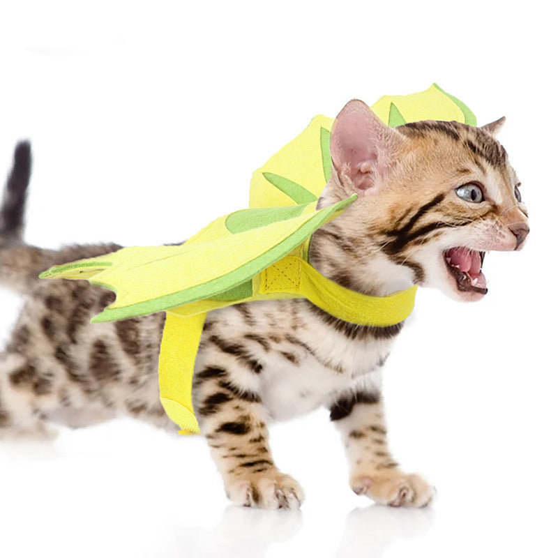 Dinosaur Wings Pet Costume