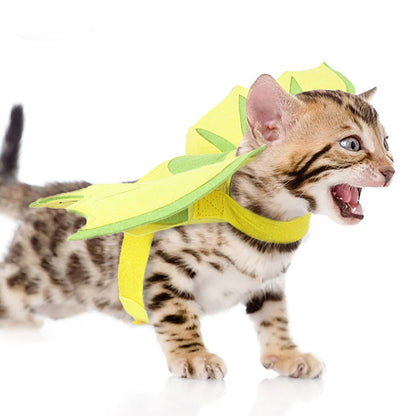 Dinosaur Wings Pet Costume