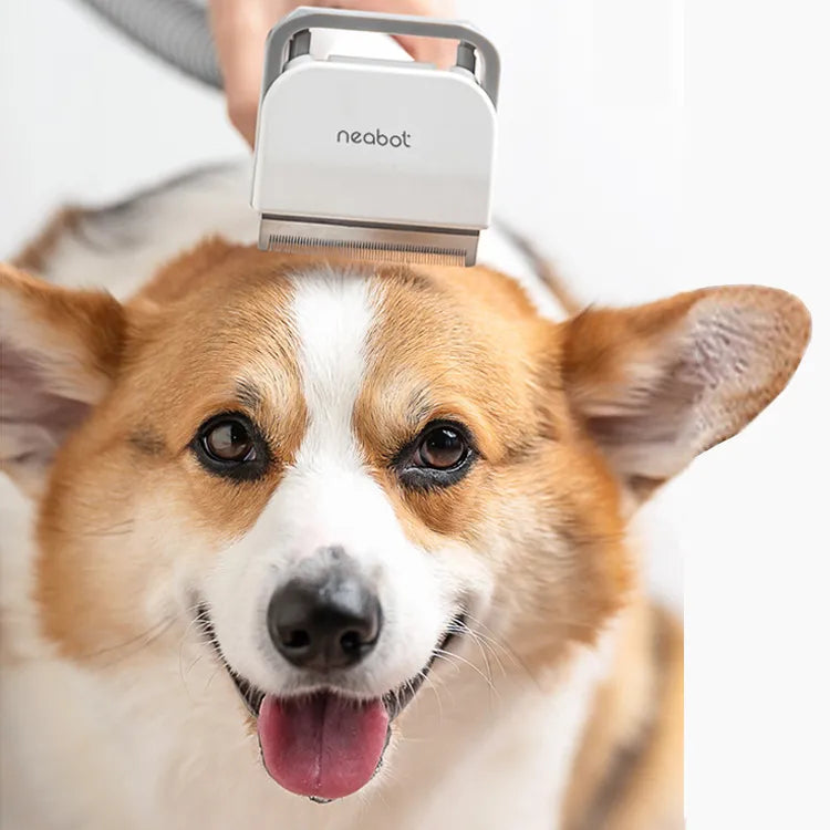 Pet hair clipper for home use