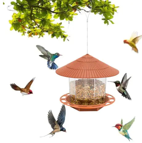 Automatic bird feeder ideal for outdoors