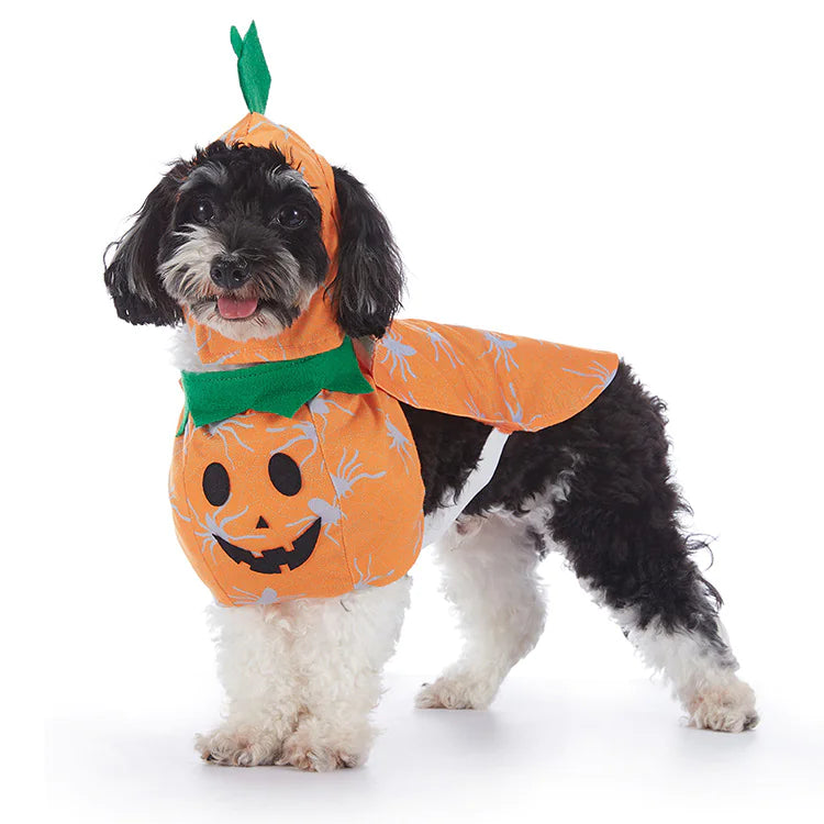 Halloween Costumes for Dogs