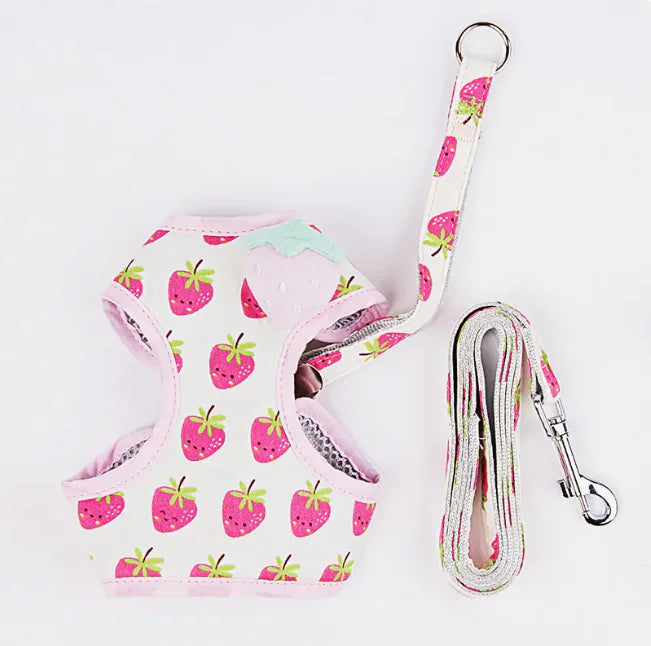 Fruit Print Cat Harness and Leash