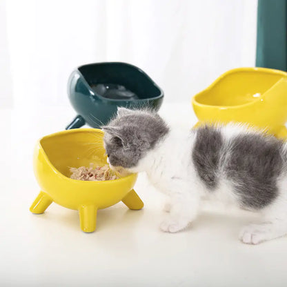 Cuenco de Cerámica Elevado para Gato