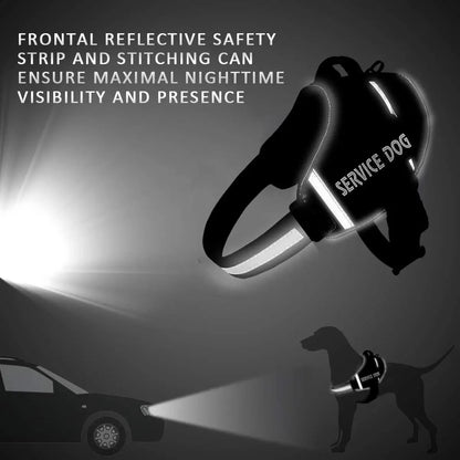 Adjustable harness for large dogs
