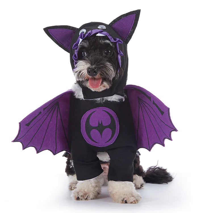 Halloween Costumes for Dogs