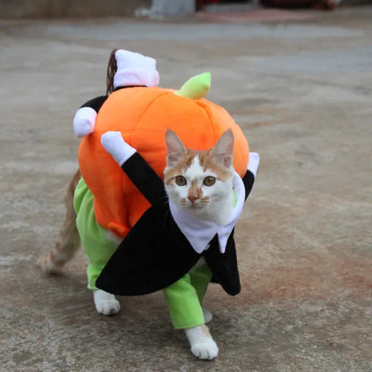 Pumpkin Pet Costume