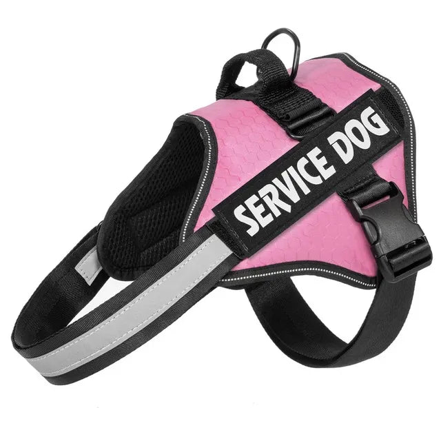 Adjustable harness for large dogs
