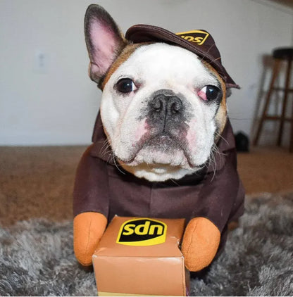 Delivery Man Pet Costume