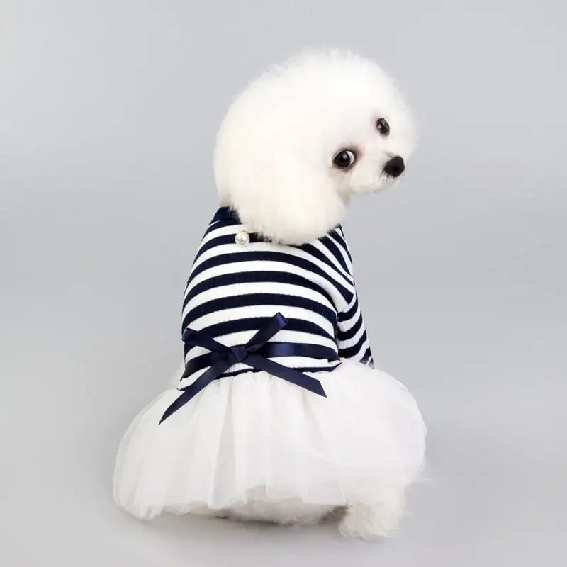 New Spring and Summer Dog Dress