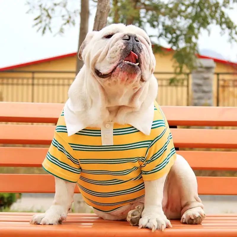 Pet Clothes - Summer Polo