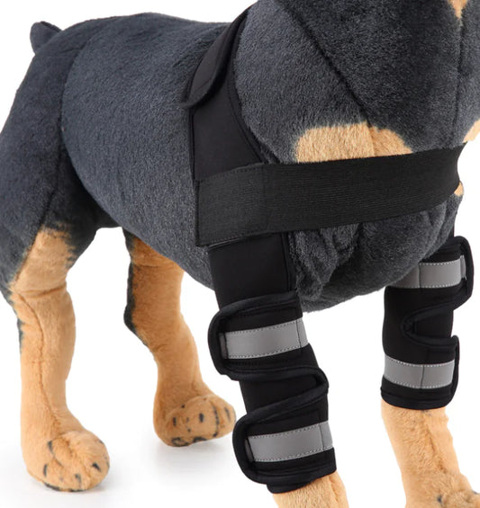 Comfortable and adjustable canine splint for pets