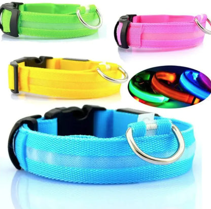 LED Safety Collar for Dogs