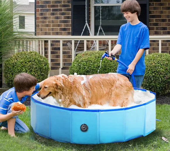 Foldable PVC Pool for Pets