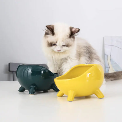 Cuenco de Cerámica Elevado para Gato