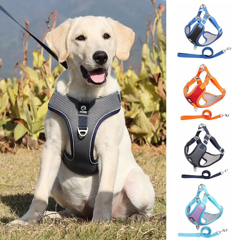 Breathable Mesh Harness for Small and Medium Dogs