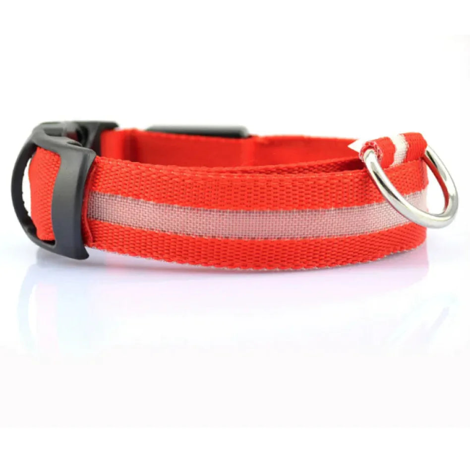 LED Safety Collar for Dogs